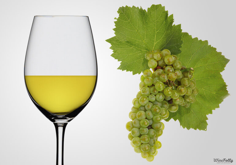 chardonnay-uva-caracetristicas-wine-folly