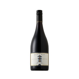 Vinho Tinto Leyda Single Vineyard Pinot Noir Las Brisas 2017 750 mL